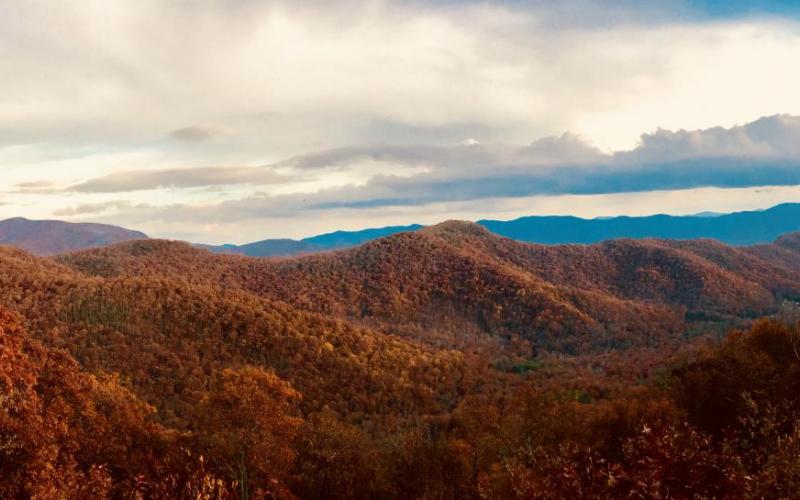 Gersbach Lab Retreat 2017 in the Blueridge Mountains near Asheville, North Carolina - the view from our cabin! 